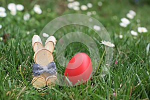 Easter Bunny and red hen Easter egg in a grass and deisies