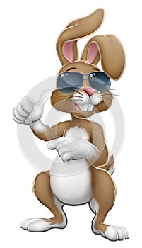 Easter Bunny Shades Rabbit Thumbs Up and Pointing