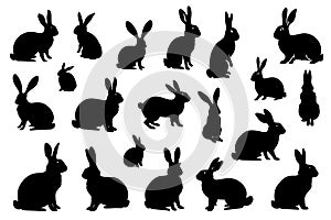 Easter bunny silhouettes isolated on white background. Rabbit and Hare