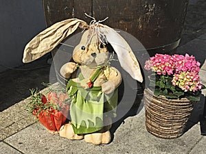 Easter Bunny in Slovakia