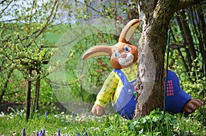 Easter bunny on a spring meadow -