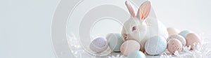 Easter bunny surrounded by colored eggs on white background. Banner for landings and design