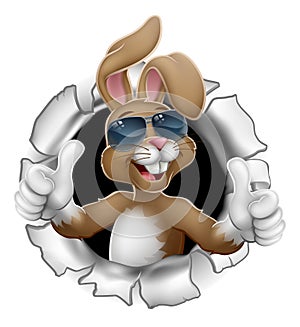 Easter Bunny Thumbs Up Cool Rabbit in Sunglasses photo