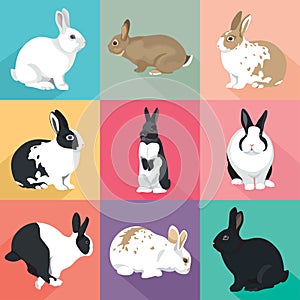 Easter Bunny vector Rabbits set colorful retro style photo