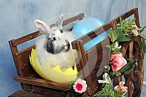 Easter Bunny Wagon
