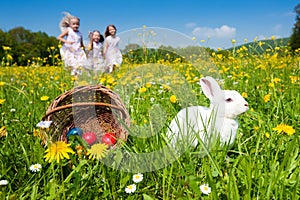 Pasqua coniglietto tracciamento uova tesoro 