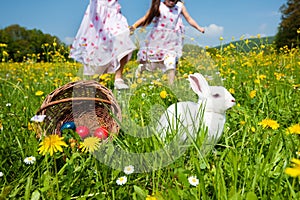 Easter bunny watching the egg hunt