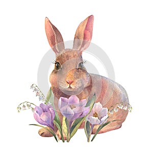Easter bunny watercolor baby rabbit with spring flowers in pastel colors. Hand painted illustration for happy holidays