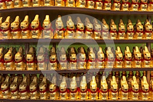 Easter bunnys chocolate wrap in golden color aluminum foil on store window