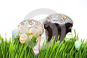 Easter cake and easter egg hiding in the grass