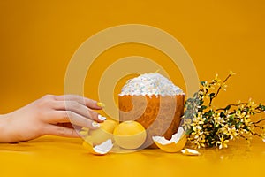 Easter cake, eggs and willow on a yellow background