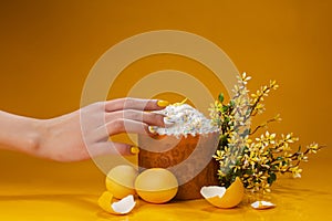 Easter cake, eggs and willow on a yellow background