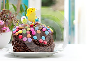 Easter cake by garden window. Fun kids chocolate cake.