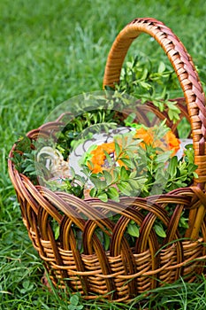 Easter cake on grass