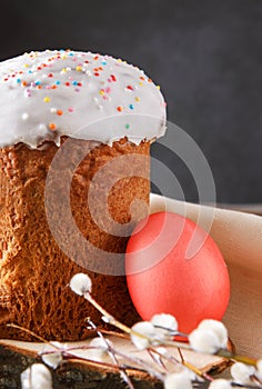 Easter cake with willow twigs and  red egg