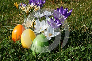 Easter candle in egg form between spring flowers