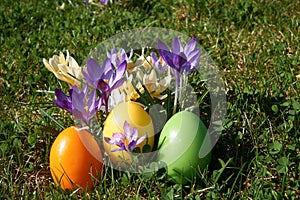 Easter candle in egg form between spring flowers