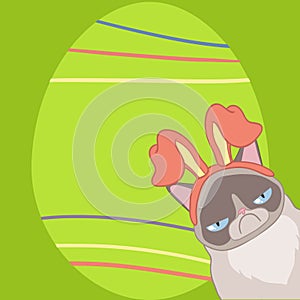 Easter card with an angry cat in rabbit ears