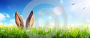Easter Card- Ears Of Bunny Appear In Grass photo