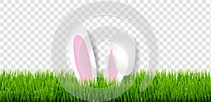 Easter Card With Easter Grass And Bunny Ears Transparent Background