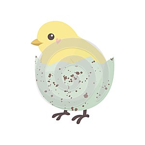 Easter card with a hatching chick, vector illustration
