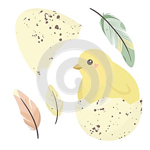 Easter card with a hatching chick, vector illustration