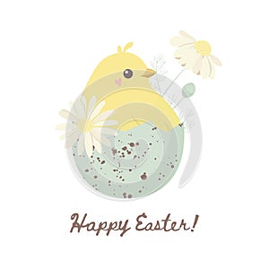 Easter card with a hatching chick, vector illustration