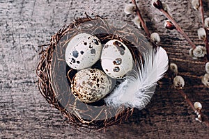 Easter card with nest and quail eggs, feather and willow on rustic dark table background. Top view