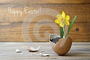 Easter card: Spring flowers in eggshell