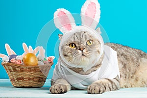 Easter cat with bunny ears with Easter eggs. Cute kitten