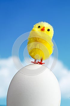 Easter chick