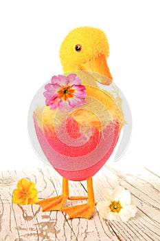 Easter chick