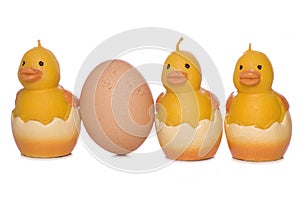 Easter chick decorations with an egg cutout