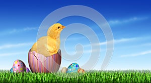 Easter Chick Egg Hunt