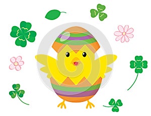 Easter chick with eggs and clover on a white background.
