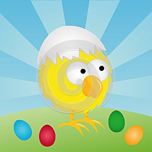 Easter - Chick with eggshell