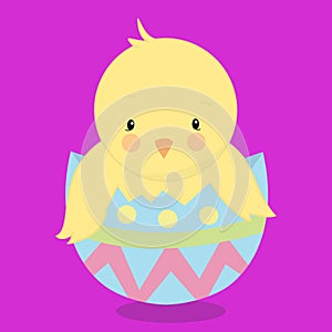 easter chick hatch 08