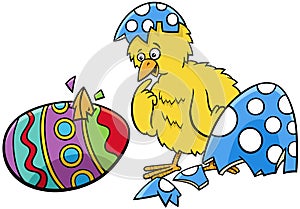 Easter chick hatched from coloered egg cartoon illustration