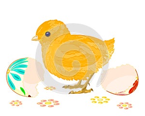 Easter chick