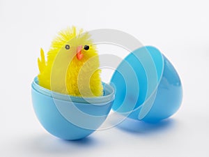 Easter Chick Hatching Out Of Egg