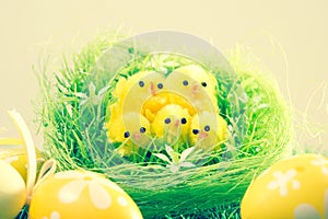 Easter chick and painted Easter eggs