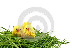 Easter chicken