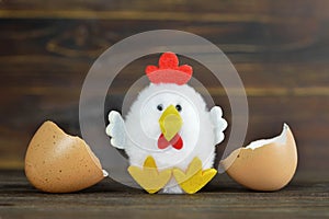 Easter chicken and broken eggshell