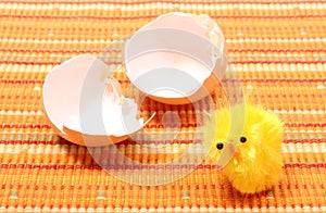 Easter chicken with broken eggshell