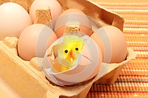 Easter chicken in broken eggshell with fresh eggs