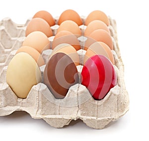 Easter chicken and chocolate eggs in a tray