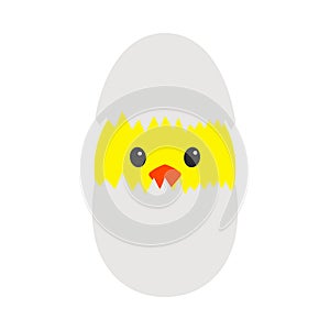 Easter Chicken In Egg Icon