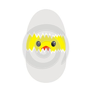 Easter Chicken In Egg Icon
