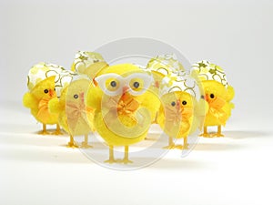 Easter chicken family