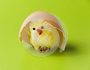 Easter chicken under egg shell